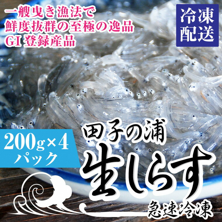 a1553一艘曳き漁法「田子の浦」漁港直送生しらす 獲れたて急速冷凍200g×4個セット