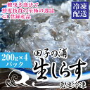 【ふるさと納税】a1553一艘曳き漁法「田子の浦」漁港直送生しらす 獲れたて急速冷凍200g×4個セット