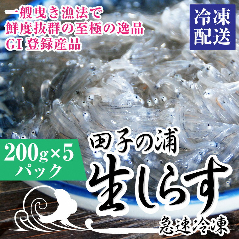 田子の浦のしらす漁は、網を一艘の船で曳く「一艘曳き(いっそうびき)」漁法で行われます。一艘曳きは網を落としてから引くまでを短時間で行うため、透明なしらすが生きたまま上がります。それを大量の氷で瞬時にしめているので、鮮度抜群のしらすが生食でお楽しみいただけます。ぷりぷり食感の極上生しらすをお楽しみください ・ふるさと納税よくある質問はこちら ・寄附申込みのキャンセル、返礼品の変更・返品はできません。あらかじめご了承ください。 商品説明 製造者 田子の浦漁業協同組合 静岡県富士市前田866番地の6 賞味期限 冷凍で2か月 内容量 生しらす200g×5（冷凍便） 発送時期 通年可※ただし、天候等により発送時期が前後する場合がございます。予めご了承お願いします。入金確認後、注文内容確認画面の【注文者情報】に記載のご住所に1週間以内を目途に、お礼の特産品とは別にお送りいたします。 ワンストップ特例申請書に関しましては【希望する】を選択されました方のみ同封させていただきます。