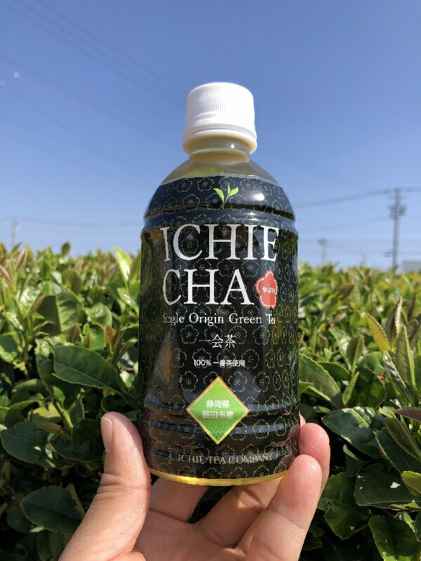 【ふるさと納税】高級ペットボトル緑茶・ICHIE CHA（一会茶）24本