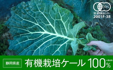 【ふるさと納税】MASUDAの旬搾り青汁　グリーンジュース（ケール100％青汁・90ml×20パック【冷凍】　定期便（3回）