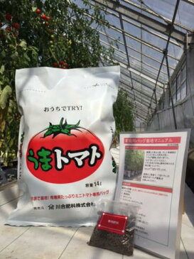 【ふるさと納税】おうちでTRY! 家庭用バック培土