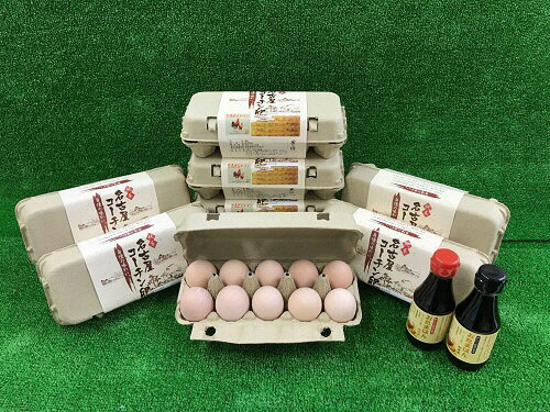 【ふるさと納税】純系名古屋コーチン卵（60コ入）卵かけご飯セット