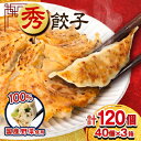 【ふるさと納税】秀餃子 120個(40×3箱)2.4kg 国産野菜と肉の新鮮さにこだわった本気のぎょうざ 国産 冷凍【配送不可地域:離島】【1622598】