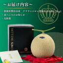 【ふるさと納税】【組合直送】【黒箱】静岡が誇る温室高級マスクメロン「クラウンメロン」1玉(約1.3kg)【1641558】