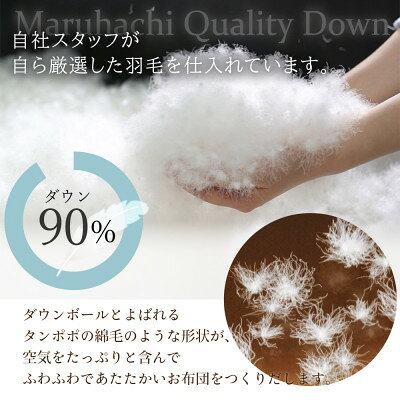 【ふるさと納税】丸八真綿 羽毛掛け布団 シングル 150×210cm 日本製 ホワイトダックダウン90%【1653500】 3