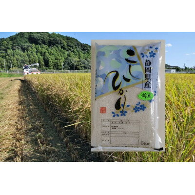 【ふるさと納税】静岡こしひかり 精米 5kg【1680074】