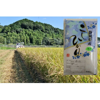 【ふるさと納税】静岡こしひかり 精米 10kg【1680077】