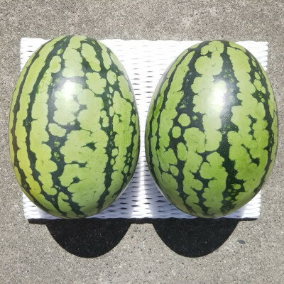【ふるさと納税】【先行予約/2026年8月上旬より発送】2玉!夏を思いっきり楽しむ!シャリ感抜群!スイカ【..