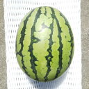 【ふるさと納税】【先行予約/2026年8月上旬より発送】1玉!夏を思いっきり楽しむ!シャリ感抜群!スイカ【ぷちっと】【配送不可地域:離島・北海道・沖縄県】【16...