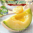 【ふるさと納税】【毎月定期便】アローマメロン1玉(約1.0kg以上/玉)【静岡高級マスクメロン】全11回【配送不可地域:離島・北海道・沖縄県】【4071899】