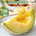 【ふるさと納税】【毎月定期便】アローマメロン1玉(約1.0kg以上/玉)【静岡高級マスクメロン】 全5回【配送不可地域:離島・北海道・沖縄県】【4071904】