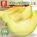 【ふるさと納税】【毎月定期便】【高級メロンの訳あり品】アローマメロン1玉 全5回【配送不可地域:離島・北海道・沖縄県】【4071934】