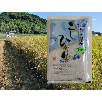 【ふるさと納税】【毎月定期便】静岡こしひかり(精米)5kg×1袋全3回【4076144】