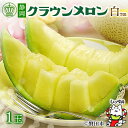 【ふるさと納税】\磐田市大人気メロン/_【通年出荷】クラウンメロン(白等級) 1玉 化粧箱入_ メロン マスクメロン 静岡県 磐田市 フルーツ 果物 厳選 高級 人気 デザート ギフト プレゼント 贈り物 送料無料 【配送不可地域:離島・北海道・沖縄県】【1416424】