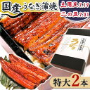 【ふるさと納税】浜名湖・うなぎのたなかの長蒲2本ギフト!ふっくら柔らか♪国産うなぎ長蒲焼※合計360g程度_ ウナギ 鰻 うなぎ かば焼き 蒲焼き 人気 美味しい 国産 浜名湖 産地直送 個包装 ギフト 贈答 専門店 冷凍 おすすめ 【配送不可地域:離島】【1417592】