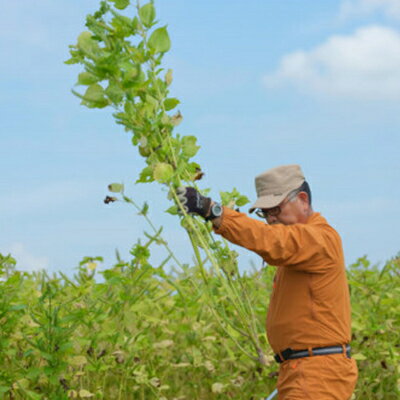 【ふるさと納税】静岡県磐田市産　生搾りえごま油 1本【1415398】
