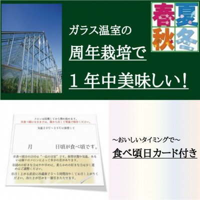 【ふるさと納税】【通年出荷】クラウンメロン(白等級)特大玉　1玉　化粧箱入【配送不可地域：離島・北海道・沖縄県】【1416433】 3