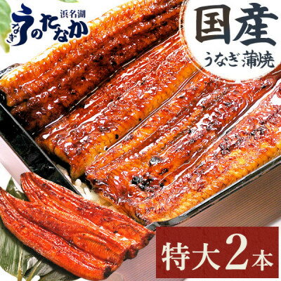 浜名湖 ・うなぎのたなかの 特大 サイズ 2本 セット !ふっくら柔らか♪ 国産 うなぎ 長蒲焼 ※合計360g程度_ ウナギ 鰻 蒲焼き かば焼き 人気 美味しい ふるさと [配送不可地域:離島]