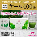 24位! 口コミ数「0件」評価「0」手軽に野菜摂取!【無添加 ケールまるごと100%青汁 原材料 静岡県磐田市産 有機栽培】【1419792】