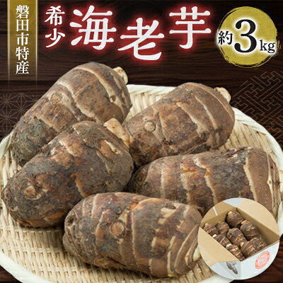 磐田特産海老芋 約3kg【1429098】