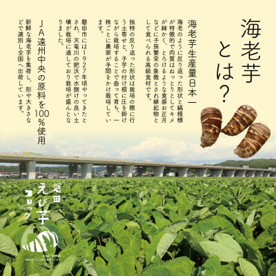 【ふるさと納税】静岡県磐田市産のどうまいもちもち『えび芋コロッケ』_ コロッケ えび芋 おやつ おかず 総菜 静岡県 磐田市 特産 おすすめ 送料無料 贈答 ギフト プレゼント 【配送不可地域：離島】【1439157】