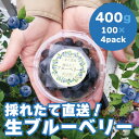 【ふるさと納税】【令和7年5月 順次発送】完熟ブルーベリー生果実・400g 静岡県磐田市産【配送不可地域:離島】【1444671】