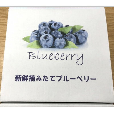 【ふるさと納税】磐田市産ブルーベリー　食べ比べセット 【令和6年5月順次発送】【配送不可地域：離島】【1444676】