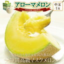 【ふるさと納税】【通年出荷】アローマメロン(中玉)1玉入【静岡高級マスクメロン】_ メロン めろん アローマメロン 化粧箱 1玉 果物 くだもの フルーツ デザ...