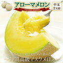 【ふるさと納税】【通年出荷】アローマメロン(中玉)2玉入【静岡高級マスクメロン】【配送不可地域:離島・北海道・沖縄県】【1447115】