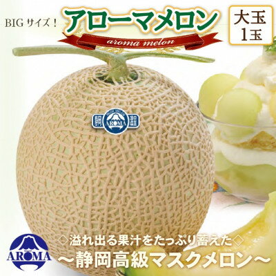【ふるさと納税】【通年出荷】アローマメロン(大玉) 1玉入【静岡高級マスクメロン】【配送不可地域:離島・北海道・沖縄県】【1447132】