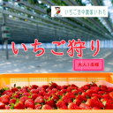 【ふるさと納税】いちご空中農園いわた いちご狩り入園券_ いちご狩り イチゴ狩り 苺狩り いちご イチゴ 苺 チケット 入園券 券 ストロベリー 果物 くだもの...