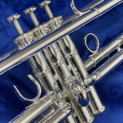 【ふるさと納税】トランペット　YTR-8335S_ トランペット YTR-8335S ヤマハ YAMAHA trumpet 楽器 ケース ショルダーストラップ 音楽 吹奏楽 オーケストラ バルドン楽器 静岡県 磐田市 送料無料 【1471800】