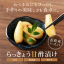 【ふるさと納税】らっきょう甘酢漬け 静岡県浜松産 120g×5袋セット【配送不可地域:離島】【1482872】