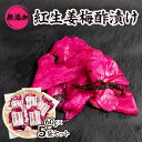 【ふるさと納税】紅生姜 漬け 無添加 国産大生姜 60g×5袋セット_ 漬物 紅生姜 紅しょうが 紅ショウガ 漬け物 お漬物 つけもの 梅酢漬け 無添加 ショウ...
