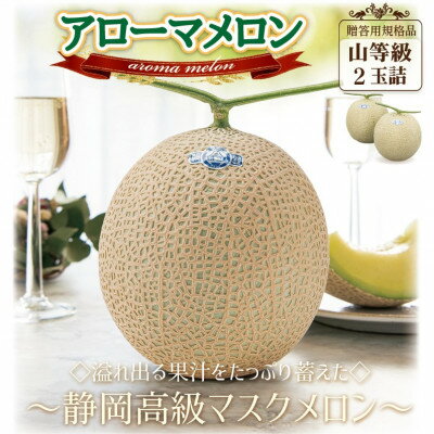【ふるさと納税】【通年出荷】アローマメロン(山等級) 2玉詰【静岡高級マスクメロン】【配送不可地域:離島・北海道・沖縄県】【1490686】