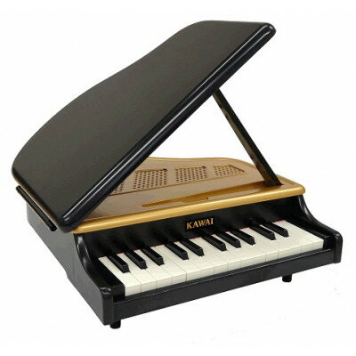キッズ　グランドピアノ 【ふるさと納税】カワイのミニグランドピアノ(黒)1191【1510036】