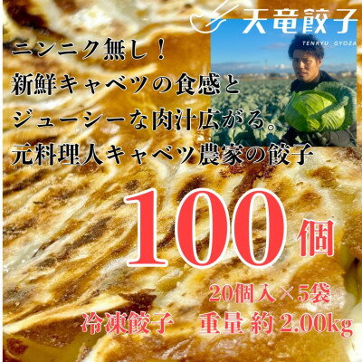 【ふるさと納税】静岡発!キャベツの旨さを追及した【天竜餃子】手土産にも配りやすいパック入り/20個×5パック【配送不可地域:離島】【1511697】
