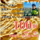 【ふるさと納税】静岡発!キャベツの旨さを追及した【天竜餃子】手土産にも配りやすいパック入り/20個×5パック【配送不可地域:離島】【1511697】