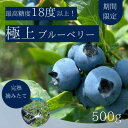 【ふるさと納税】【極上】完熟 生ブルーベリー500g【配送不可地域:離島】【1515681】