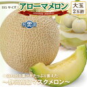 【ふるさと納税】【通年出荷】アローマメロン(大玉) 2玉詰【静岡高級マスクメロン】_ メロン めろん アローマメロン 大玉 化粧箱 2玉 果物 くだもの フルー...