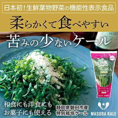 34位! 口コミ数「0件」評価「0」【毎月定期便】やわらかくて食べやすい苦みの少ないケール【静岡県磐田市産 特別栽培】全6回【配送不可地域：離島】【4003775】