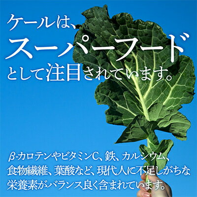 【ふるさと納税】【毎月定期便】旬だからこそ手をかけない美味しさがある【無添加 ケールまるごと100%ジュース】全3回【配送不可地域：離島】【4003780】