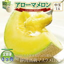 【ふるさと納税】【毎月定期便】アローマメロン(中玉)1玉・3ヵ月毎月お届け【静岡高級マスクメロン】全3回【配送不可地域:離島・北海道・沖縄県】【4006990】