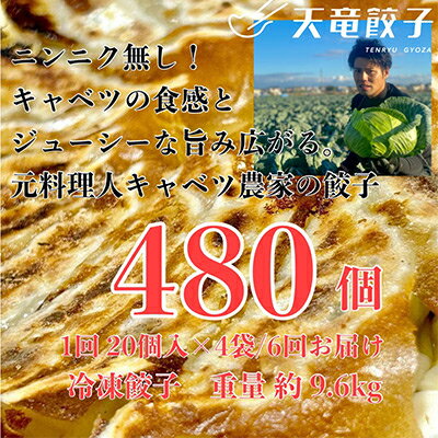 3位! 口コミ数「0件」評価「0」【毎月定期便】【ニンニク不使用】天竜餃子 80個が毎月届く!いつでも手軽に美味しい冷凍生餃子全6回【配送不可地域：離島】【4007860】