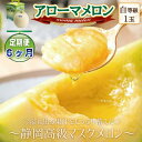 【ふるさと納税】【毎月定期便】アローマメロン1玉(約1.0kg以上/玉)【静岡高級マスクメロン】 全6回_ メロン めろん アローマメロン 定期便 化粧箱 全6...