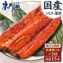【ふるさと納税】【2ヵ月毎定期便】浜名湖・うなぎのたなかの国産うなぎ長蒲焼5本※1回分450g程度全3回_ うなぎ 国産 ウナギ 鰻 浜名湖 静岡 蒲焼 蒲焼き...