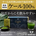 14位! 口コミ数「0件」評価「0」血圧対策+手軽に野菜摂取!【無添加 ケールまるごと100%青汁 原材料 静岡県磐田市産 有機栽培】【1419788】