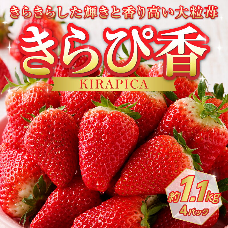 【ふるさと納税】 いちご きらぴ香 4パック 果物 フルーツ 冷蔵 焼津 静岡限定生産 a10-421