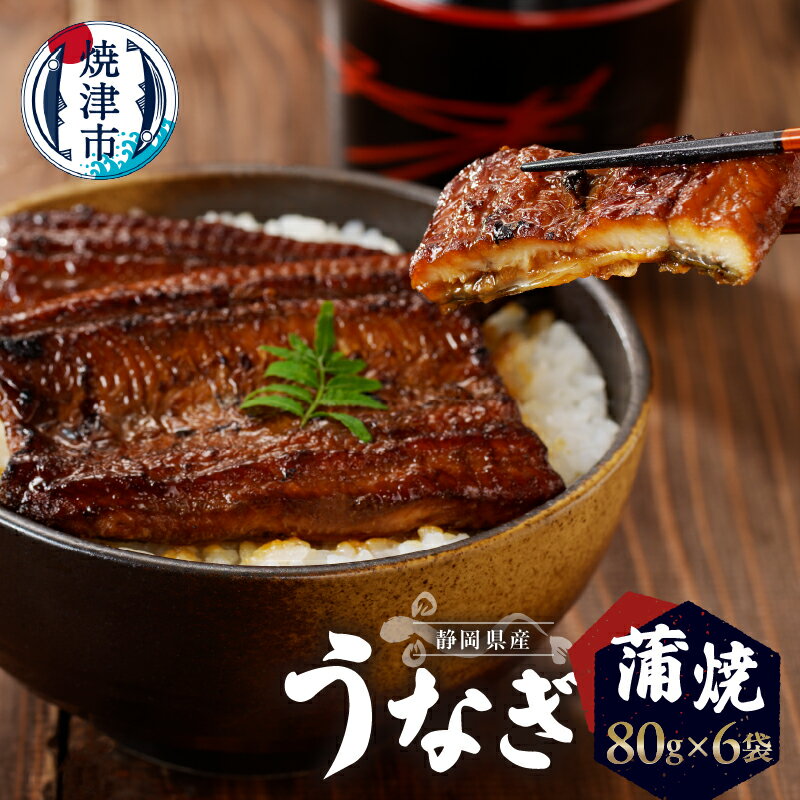 【ふるさと納税】 うなぎ 蒲焼 静岡県産 真空パック 80g×6 山椒付蒲焼のたれ 食品添加物不使用 冷凍 焼津 a27-011